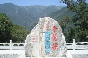 牛背梁高山杜鵑花節