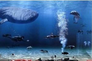 養著鯨鯊的客廳