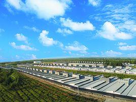 牧原食品股份有限公司 牧原食品股份有限公司