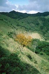 阿勞卡省自然景觀