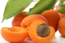 敦煌李廣杏 敦煌李廣杏