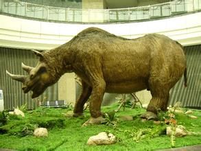 小秦嶺標本館 小秦嶺標本館