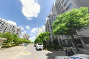 金橘新苑 金橘新苑