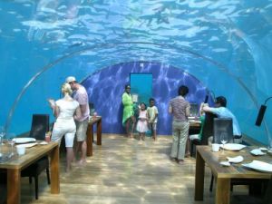 馬爾地夫海底餐廳 馬爾地夫海底餐廳