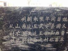 苗莊村[河北邯鄲縣河沙鎮下轄村]