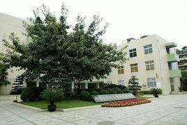 青華國小 青華國小