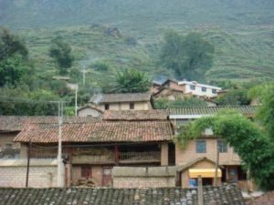 大樹棵村 大樹棵村