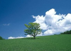 火戰車 (Chariots of Fire) - 班得瑞