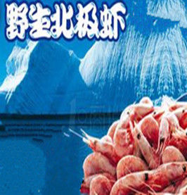 野生北極蝦 野生北極蝦
