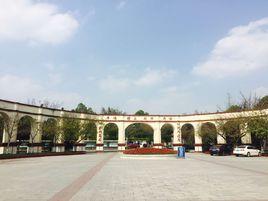 華西衛校 華西衛校