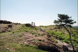 王台閣老山 王台閣老山