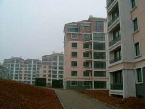 望景花園 望景花園