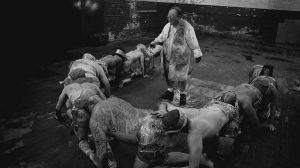 人體蜈蚣2 劇照