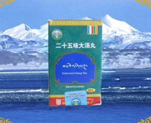 甘露二十五味大湯丸 甘露二十五味大湯丸