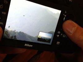 尼康黑斑門 尼康黑斑門