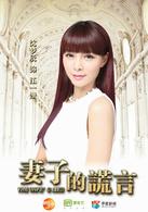 妻子的謊言[賈青、張曉龍主演電視劇]