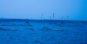 湯河水庫度假村