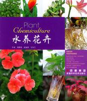 水養花卉 水養花卉