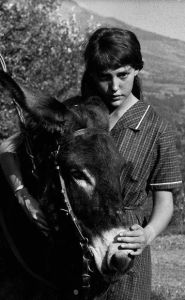 驢子巴勒達扎 驢子巴勒達扎