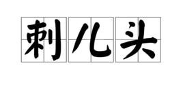 刺兒頭[遇事刁難別人，不好對付的人。]