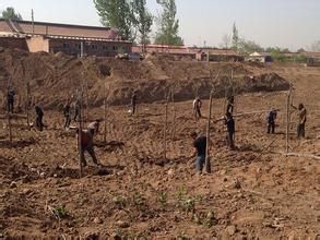 大灰店村 大灰店村