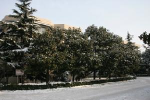 開封市求實中學