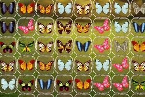 蝴蝶連連看升級版