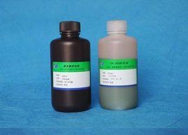 巴氏染色 巴氏染色