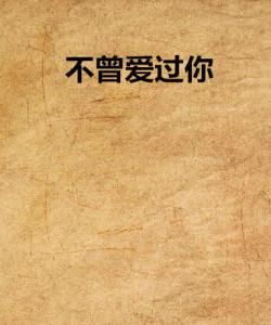 不曾愛過你 不曾愛過你