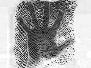 民族膚紋 民族膚紋