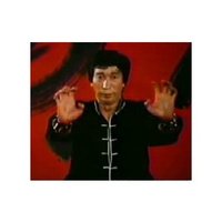 洪拳系列之:虎鶴雙形拳