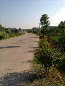 新元村[廣東省興寧市新坡鎮下轄村]