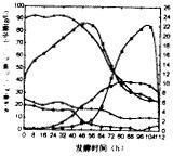 發酵動力學 發酵動力學