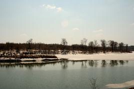 泉陽鎮[吉林省撫松縣泉陽鎮]