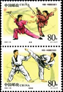 武術與跆拳道 武術與跆拳道