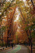 赫拉斯特勞公園一景
