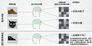 fMRI技術 fMRI技術