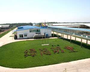 北京三元食品股份有限公司