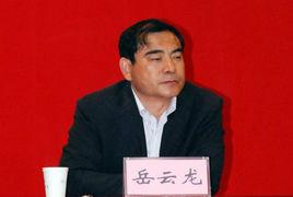 岳雲龍[材料科學與工程學院教授，博士生導師]