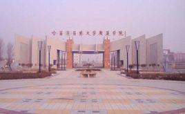 廣夏學院 廣夏學院