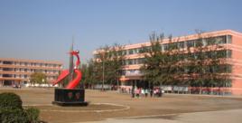 邢台市第三十一中學 邢台市第三十一中學