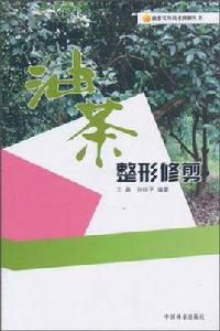 油茶整形修剪 油茶整形修剪