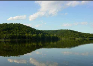 達爾濱湖國家森林公園 