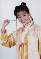 神鵰俠侶[1998年新加坡版李銘順、范文芳主演電視劇]
