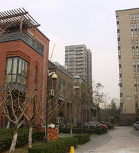 日湖琴雲 日湖琴雲