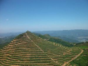 凱德街道 凱德街道