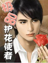 極品護花使者 極品護花使者