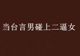 當台言男碰上二逼女 當台言男碰上二逼女