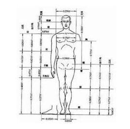 人體測量學 人體測量學