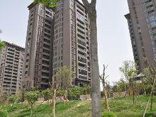 鴻基紫韻實景圖